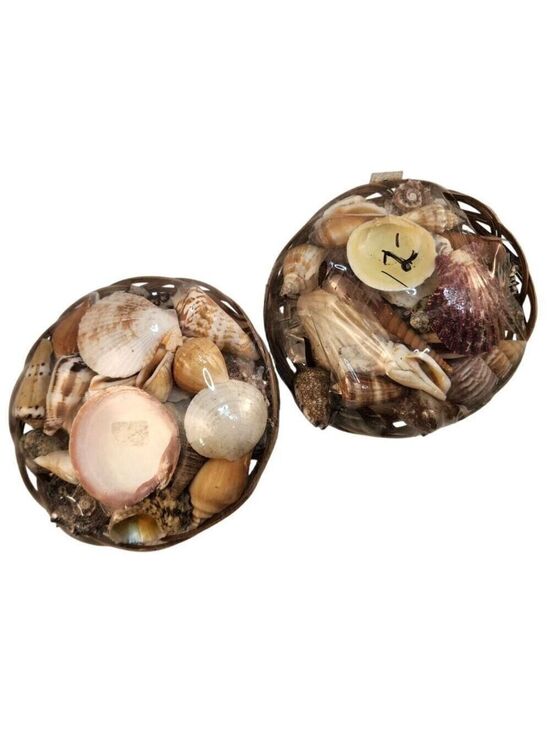 Other - Seashell Basket Set 2 Decorative 5" x 3"